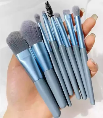 8 Pcs Beauty Mini Makeup Brush Tools